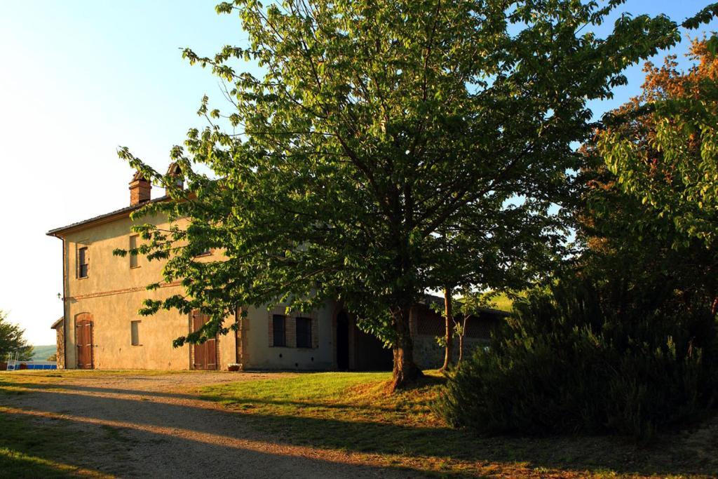 Tenuta Di Corbara Corbara  Zimmer foto